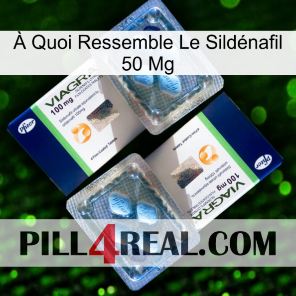 À Quoi Ressemble Le Sildénafil 50 Mg viagra5